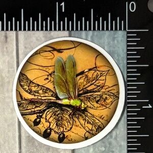 🌀10/$10🌀 Vintage Insect Reusable Sticker Decal